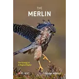 The Merlin - The Ecology of a Magical Raptor