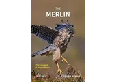 The Merlin