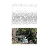 The Merlin - The Ecology of a Magical Raptor