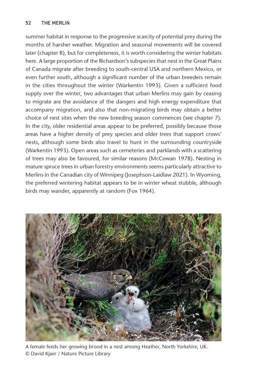 The Merlin - The Ecology of a Magical Raptor