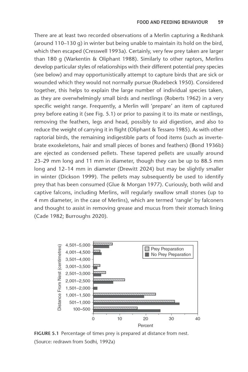 The Merlin - The Ecology of a Magical Raptor