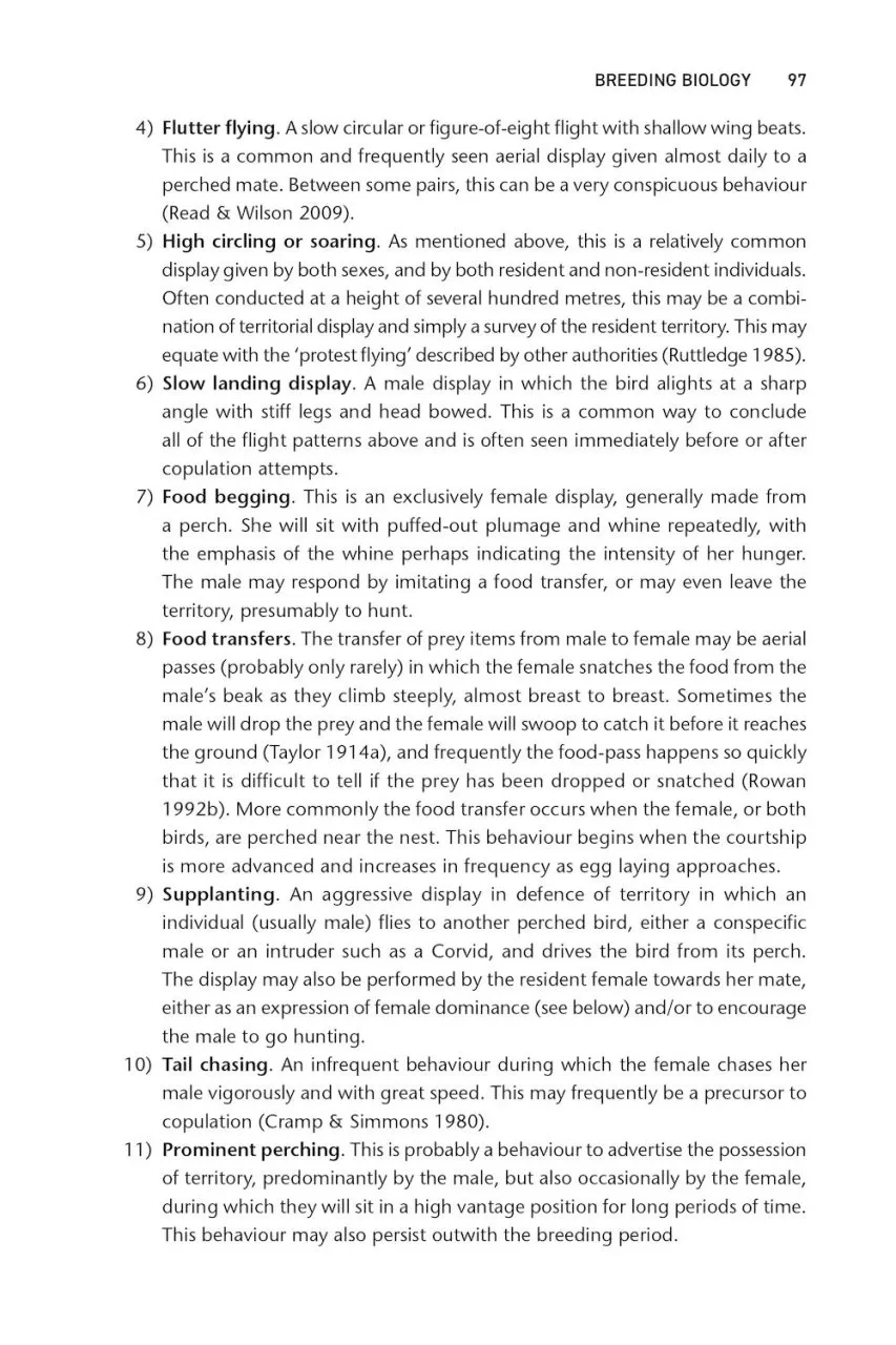 The Merlin - The Ecology of a Magical Raptor