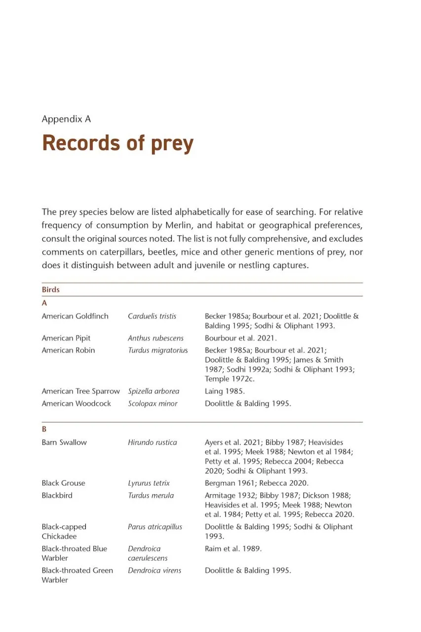 The Merlin - The Ecology of a Magical Raptor