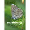 Schmetterlinge