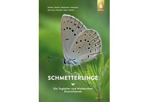 Schmetterlinge