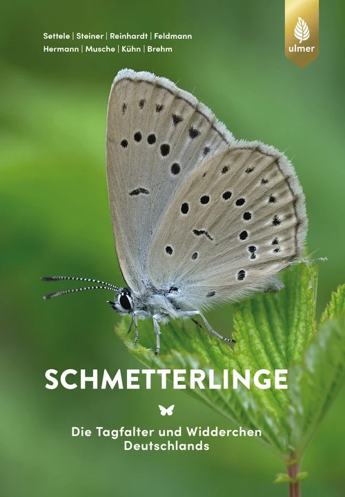 Schmetterlinge - Die Tagfalter und Widderchen Deutschlands