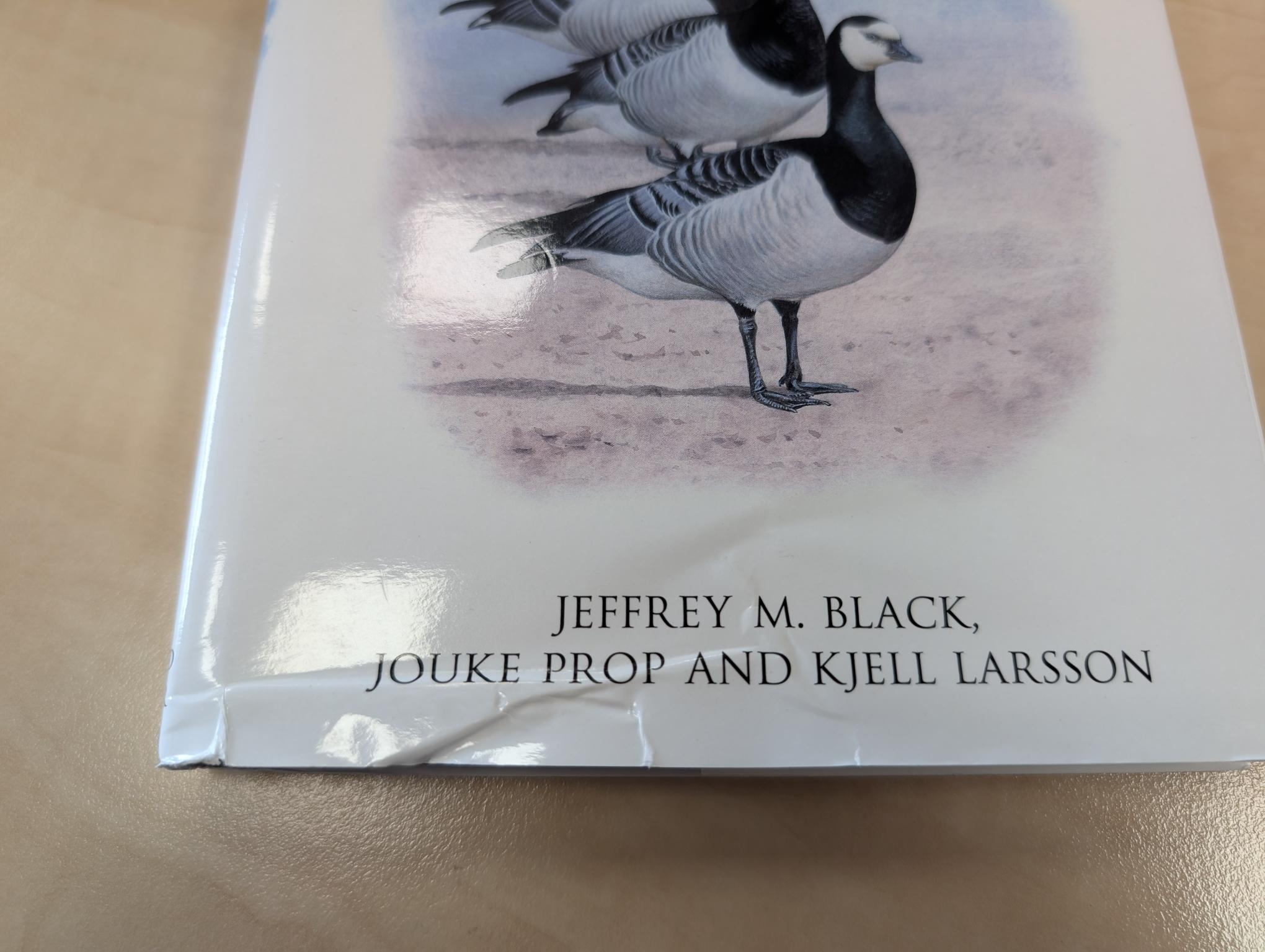 Damaged copy - The Barnacle Goose