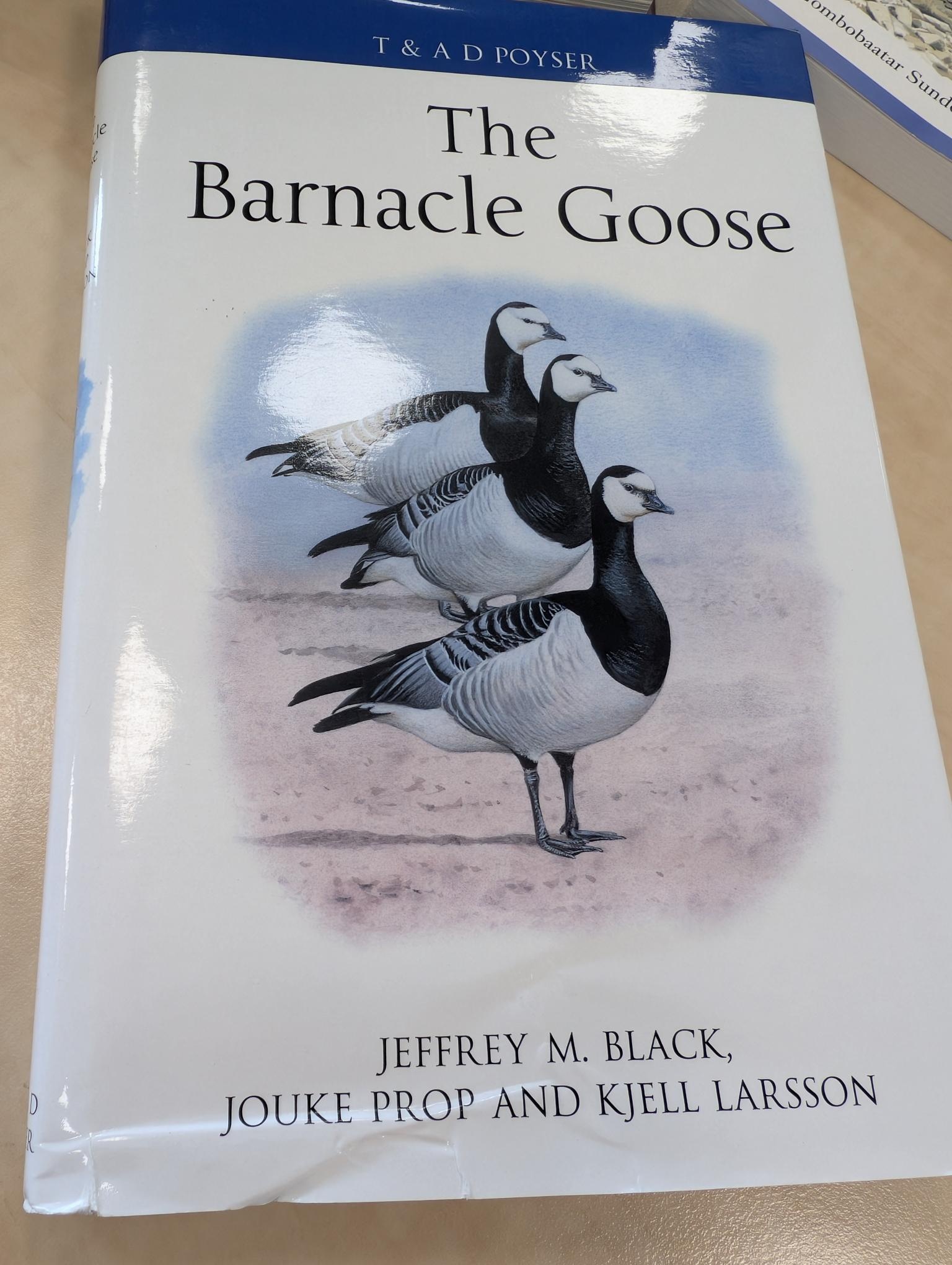 Beschädigte Kopie - The Barnacle Goose