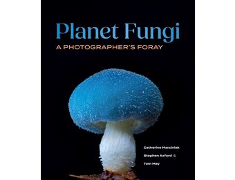 Planet Fungi