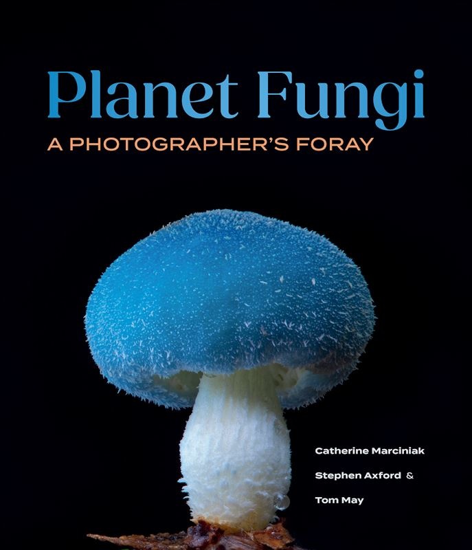 Planet Fungi - A Photographer's Foray