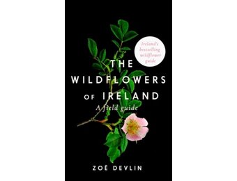 The Wildflowers of Ireland