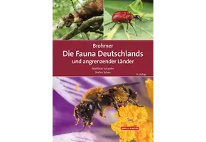 Brohmer – Die Fauna Deutschlands und angrenzender Länder
