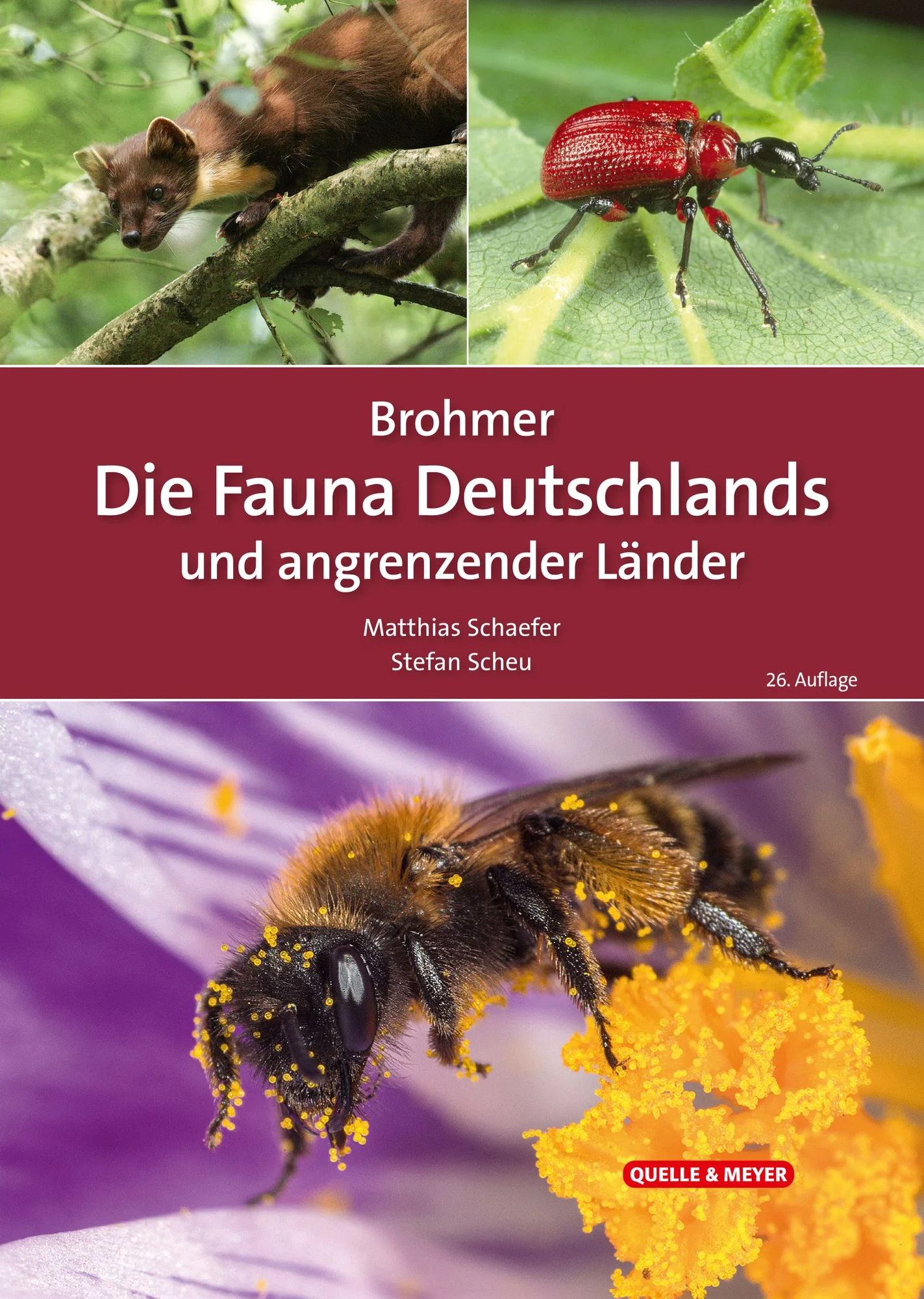 Brohmer – Die Fauna Deutschlands und angrenzender Länder - Ein Bestimmungsbuch Unserer Heimischen Tierwelt