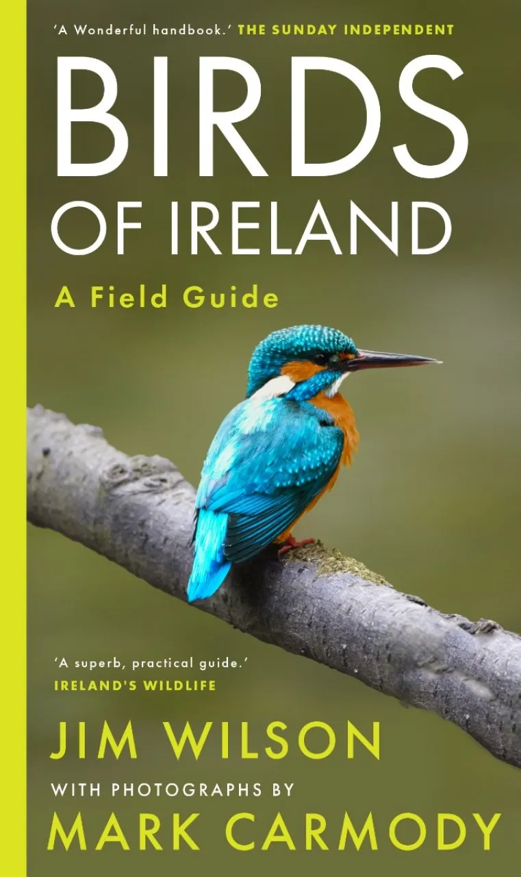Birds of Ireland - A Field Guide