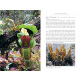 Carnivorous Plants and their Habitats: Volumes 1 & 2