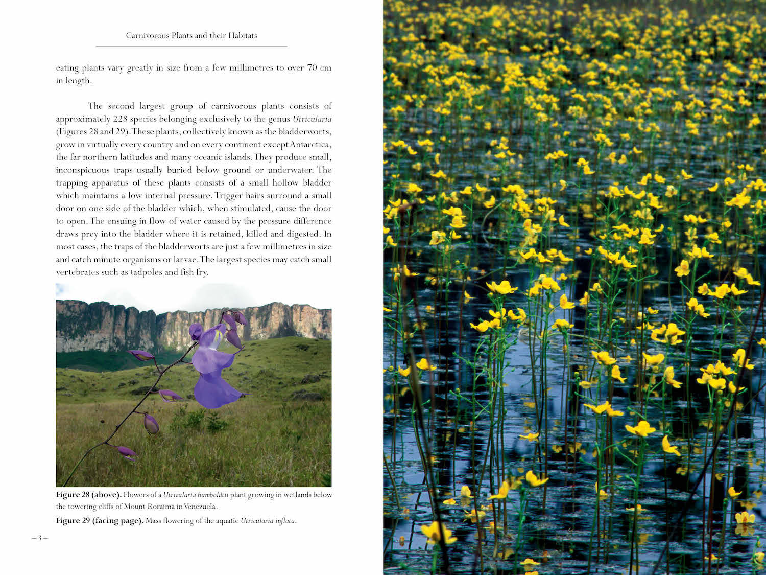 Carnivorous Plants and their Habitats: Volumes 1 & 2