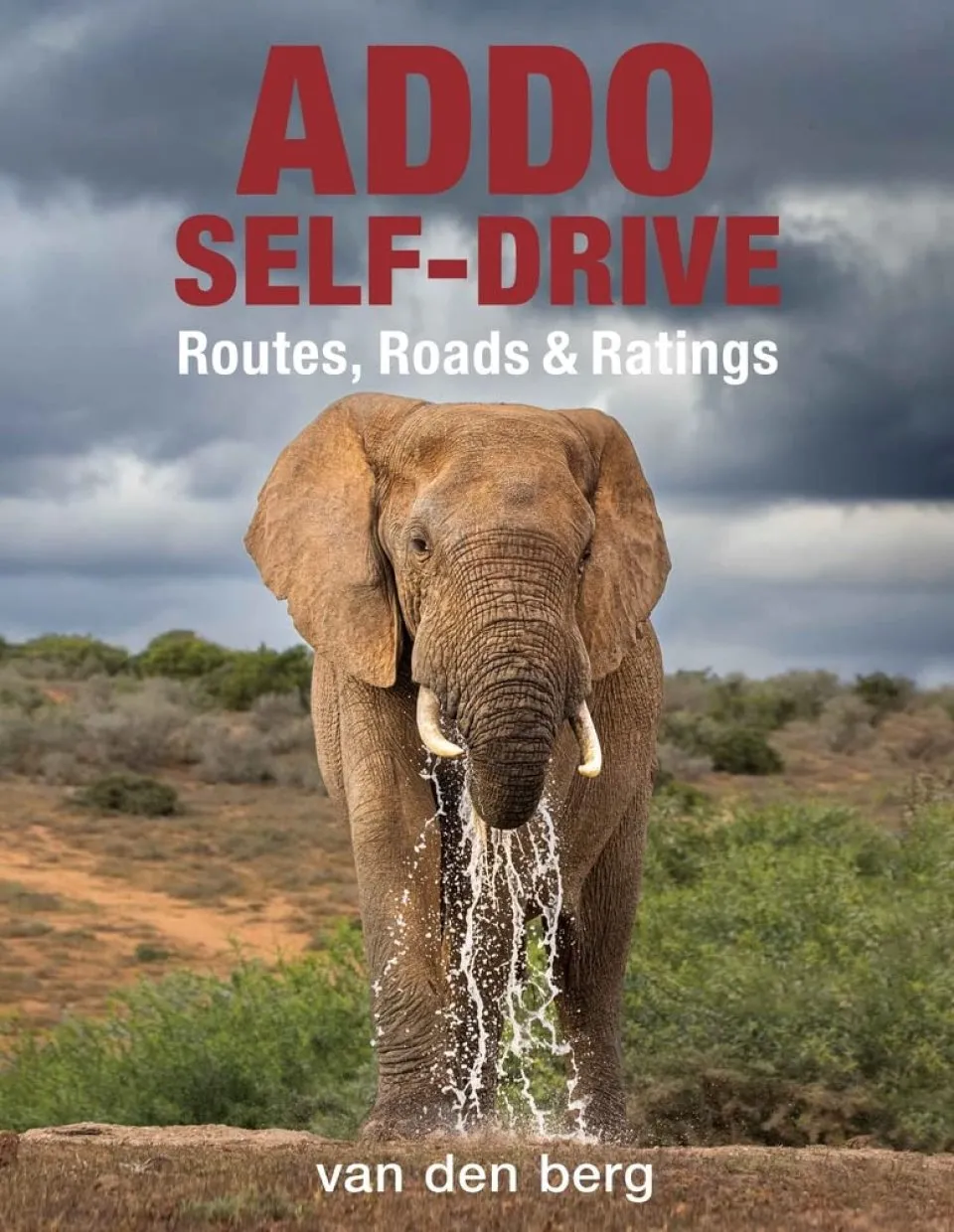 Addo Self-Drive - Routes, Roads & Ratings