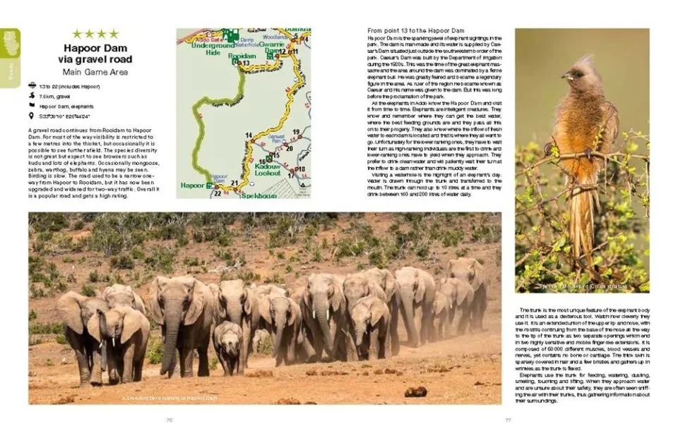 Addo Self-Drive - Routes, Roads & Ratings