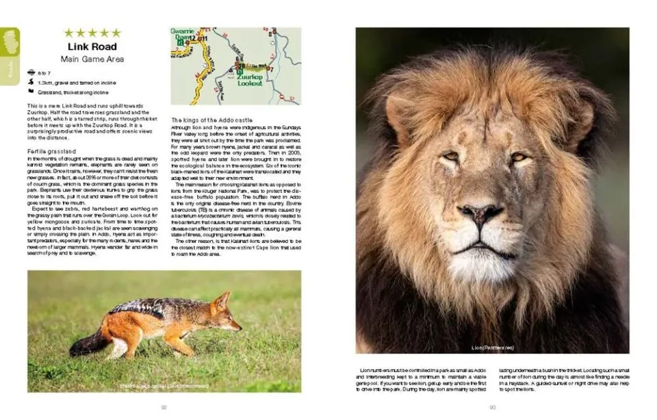 Addo Self-Drive - Routes, Roads & Ratings