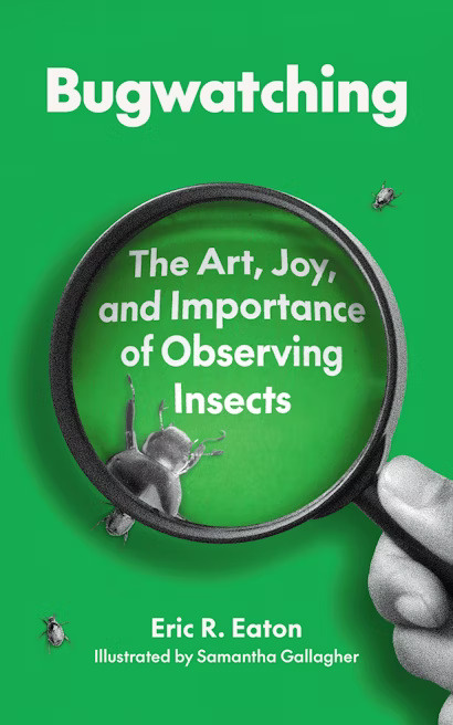Bugwatching: The Art, Joy, and Importance of Observing Insects