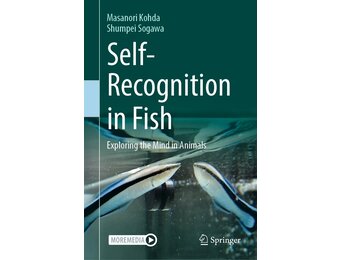 Self-Recognition in Fish
