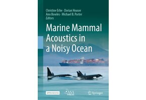 Marine Mammal Acoustics in a Noisy Ocean