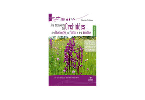 A la découverte des Orchidées des Charentes, du Poitou et de la Vendée