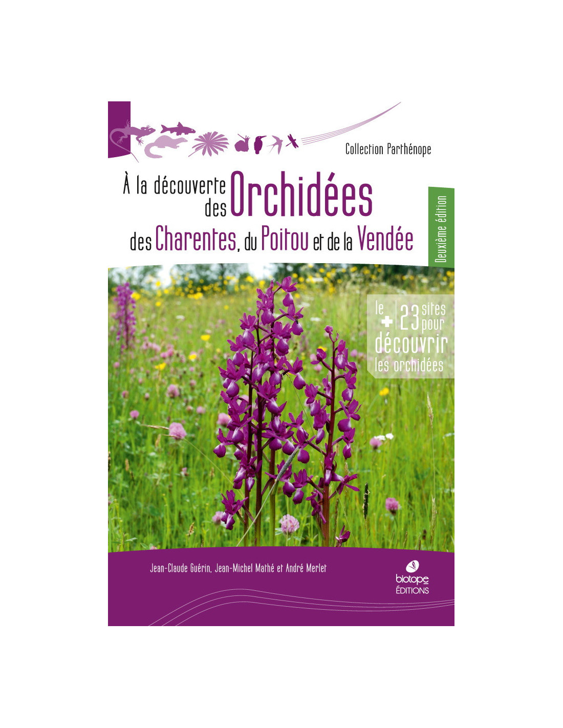 A la découverte des Orchidées des Charentes, du Poitou et de la Vendée