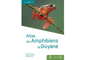 Atlas des Amphibiens de Guyane