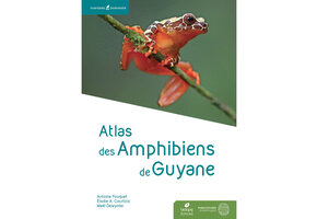 Atlas des Amphibiens de Guyane