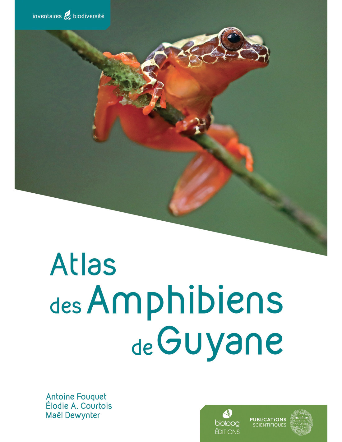 Atlas des Amphibiens de Guyane