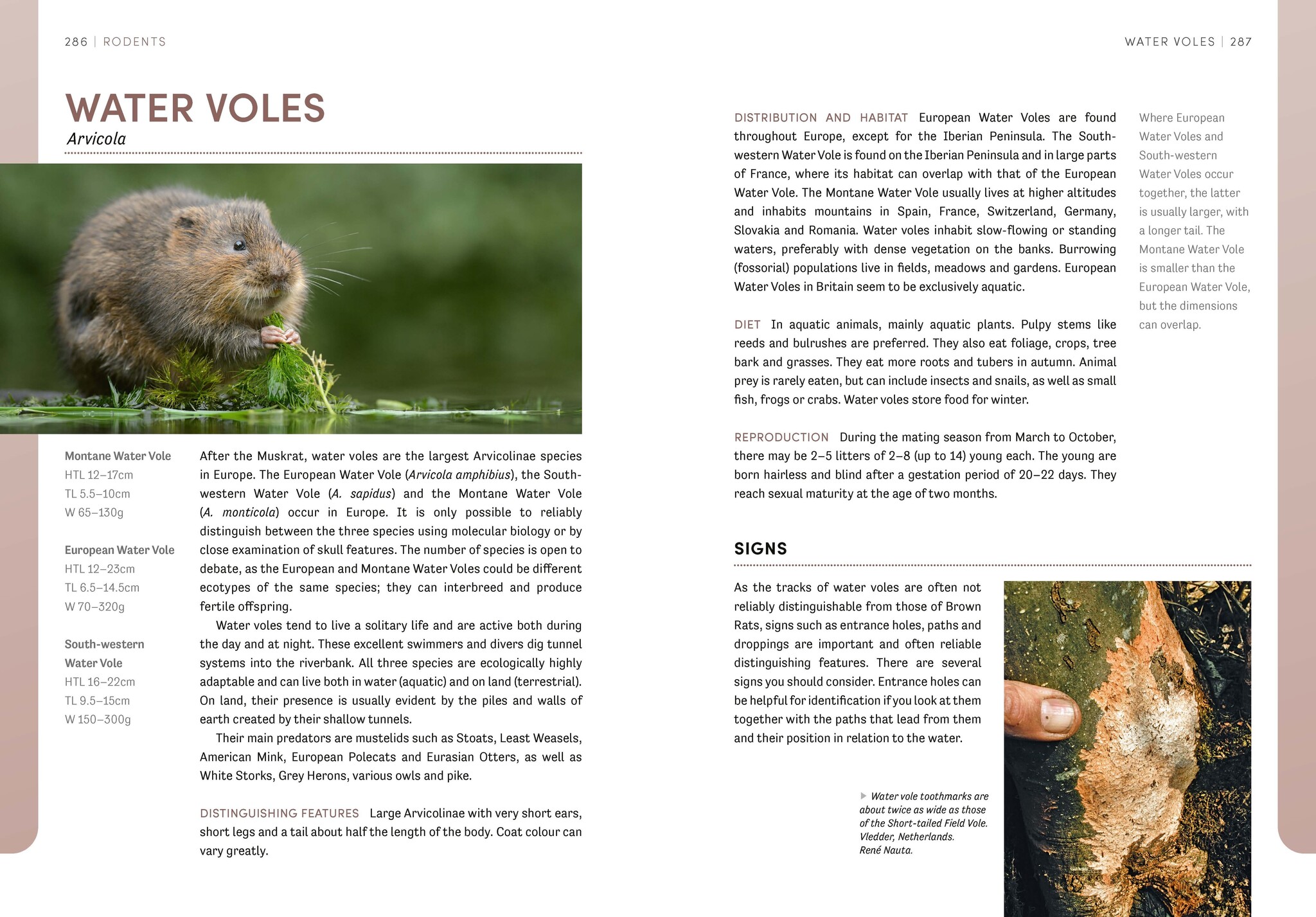 The European Animal Tracks Handbook