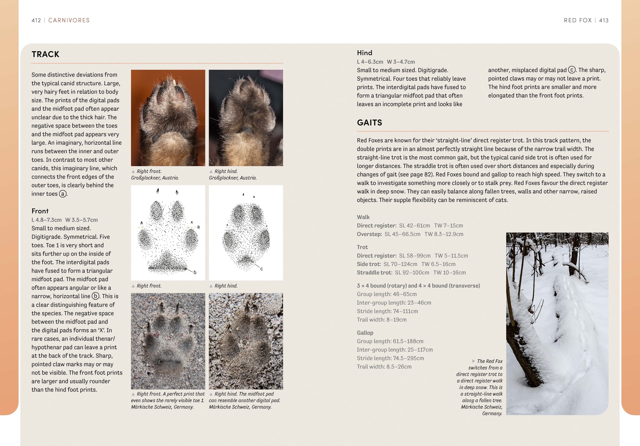 The European Animal Tracks Handbook