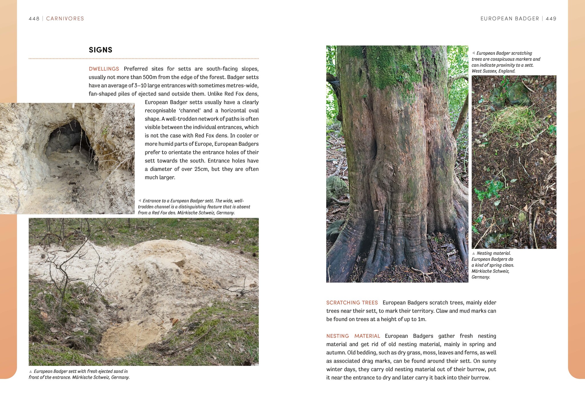 The European Animal Tracks Handbook