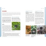 The European Animal Tracks Handbook