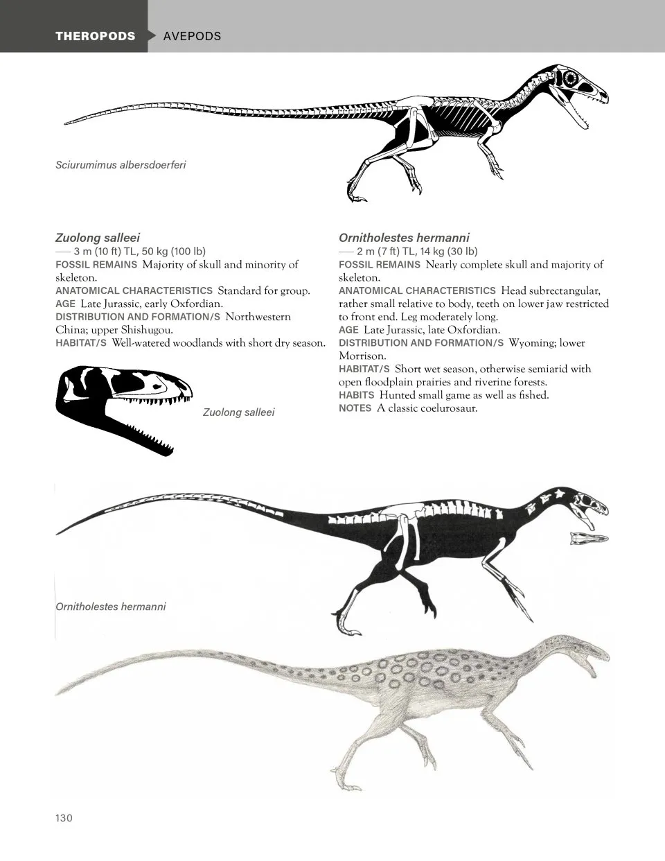 The Princeton Field Guide to Dinosaurs: Third Edition