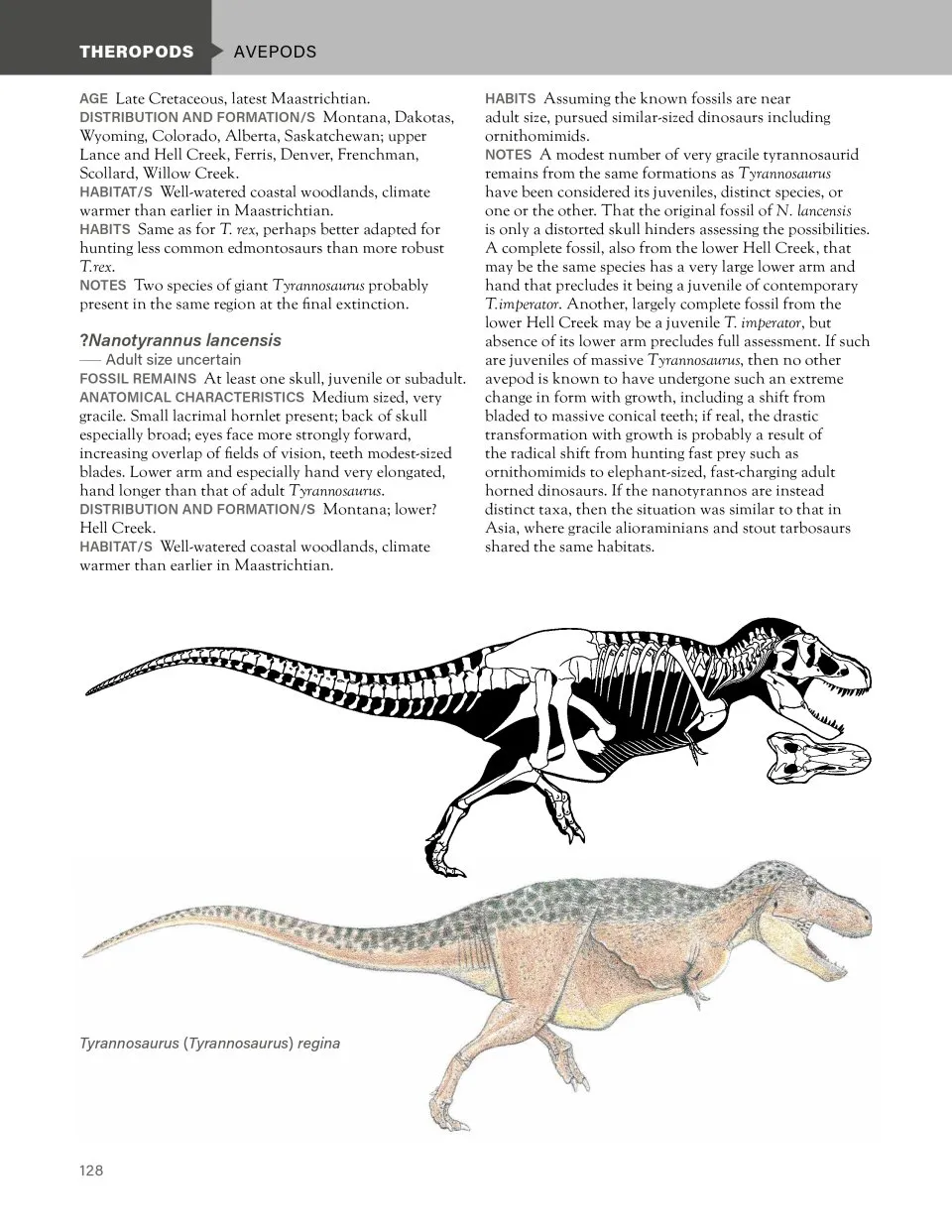 The Princeton Field Guide to Dinosaurs: Third Edition