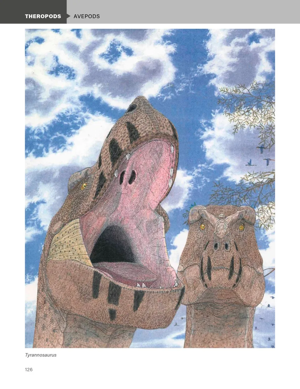 The Princeton Field Guide to Dinosaurs: Third Edition