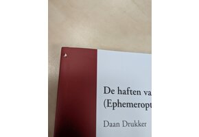 Damaged copy - De haften van de Benelux (Ephemeroptera)