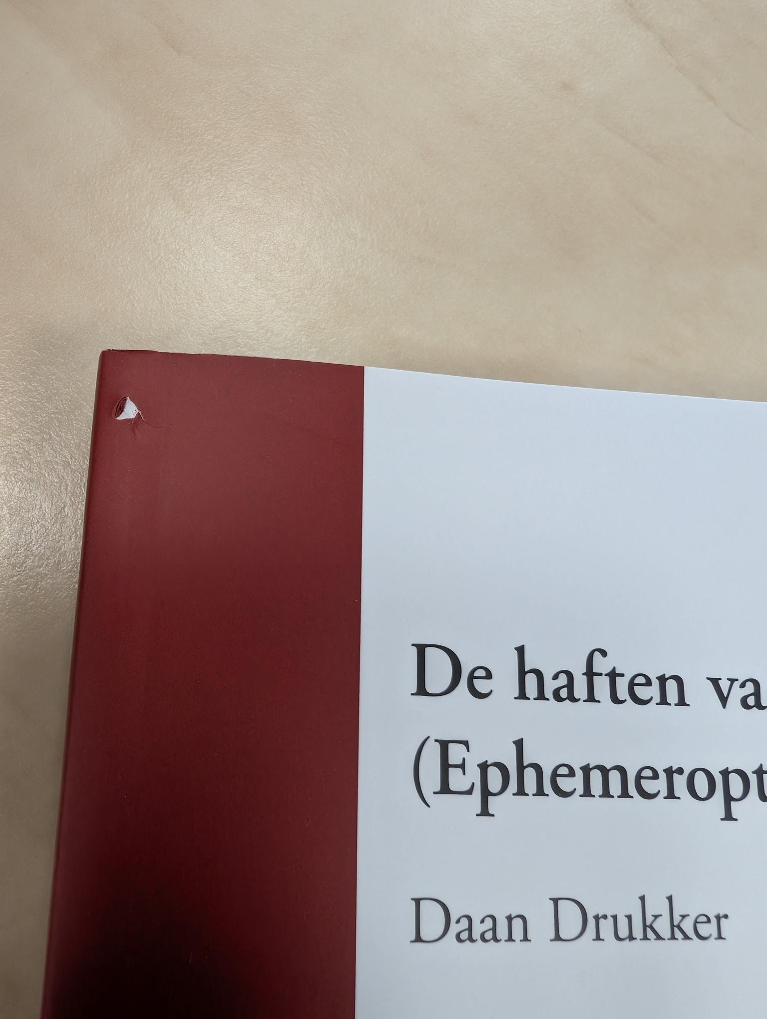 Beschadigd exemplaar - De haften van de Benelux (Ephemeroptera)