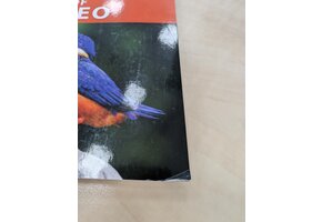 Beschädigte Kopie - Birds of Borneo