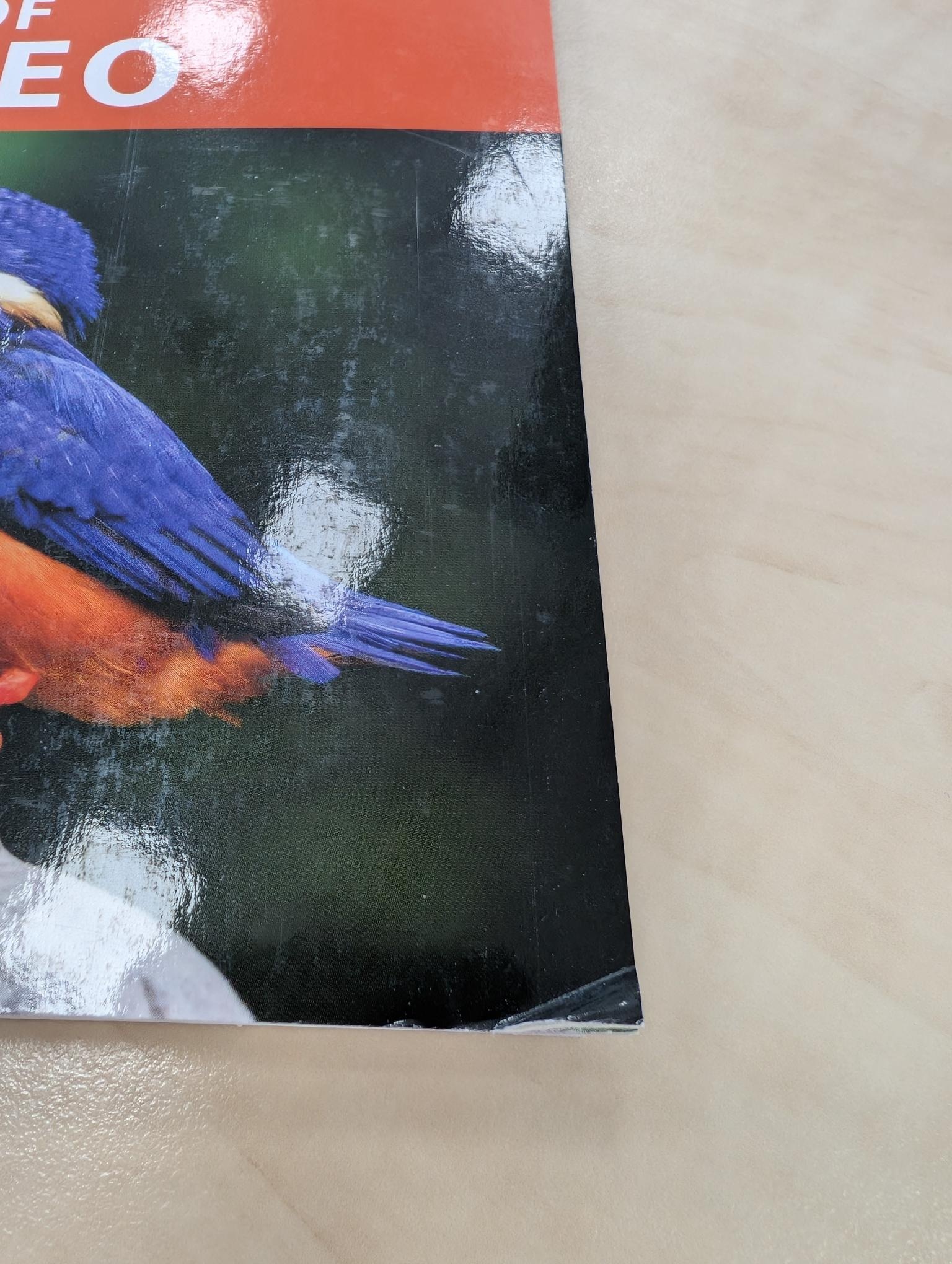 Damaged copy - Birds of Borneo - A Photographic Guide