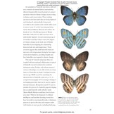 Butterflies of the World: A Guide to Every Subfamily