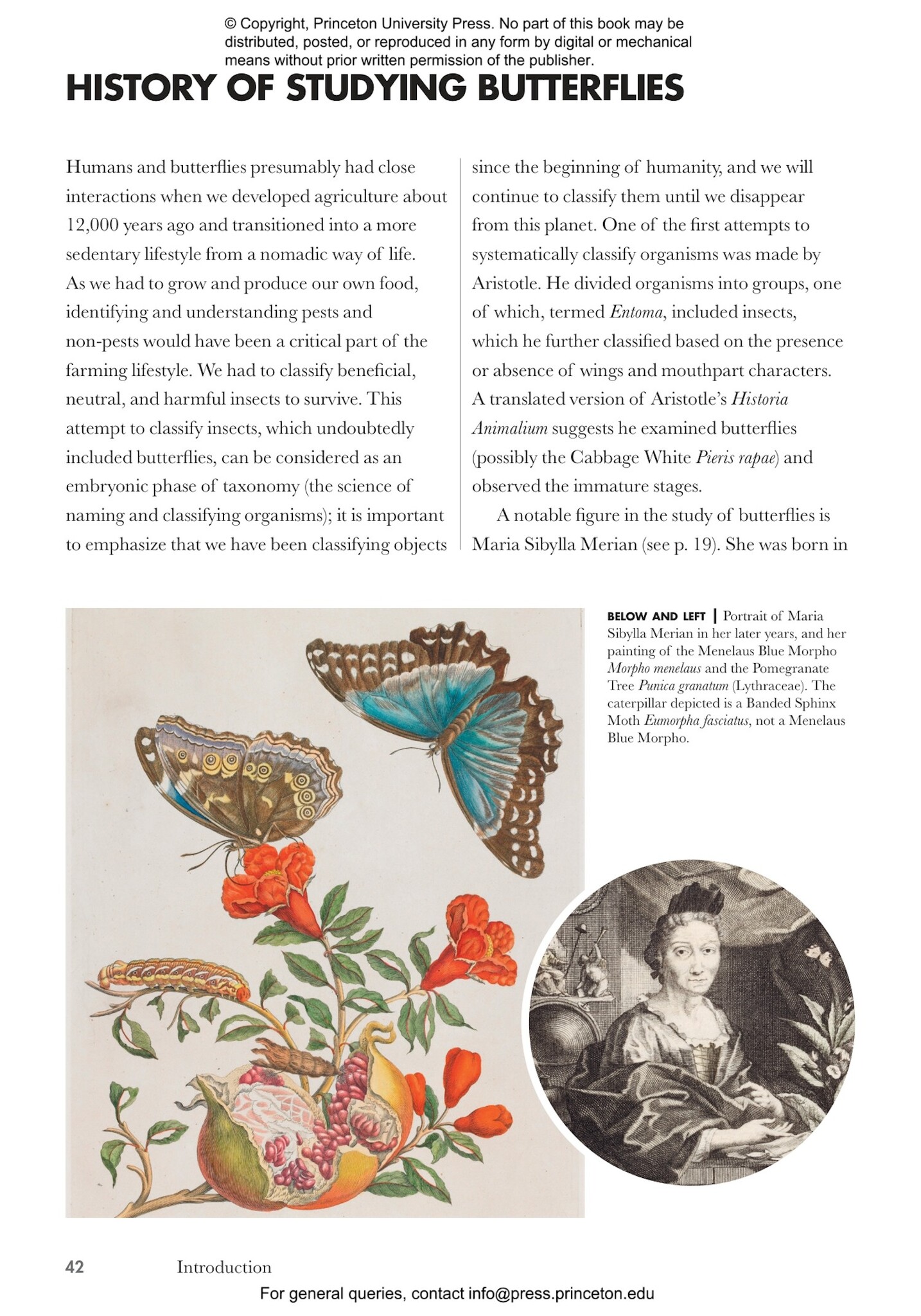 Butterflies of the World: A Guide to Every Subfamily