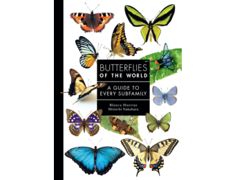 Butterflies of the World