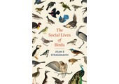 The Social Lives of Birds