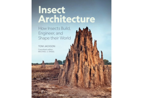 Insect Architecture