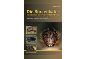 Die Borkenkäfer