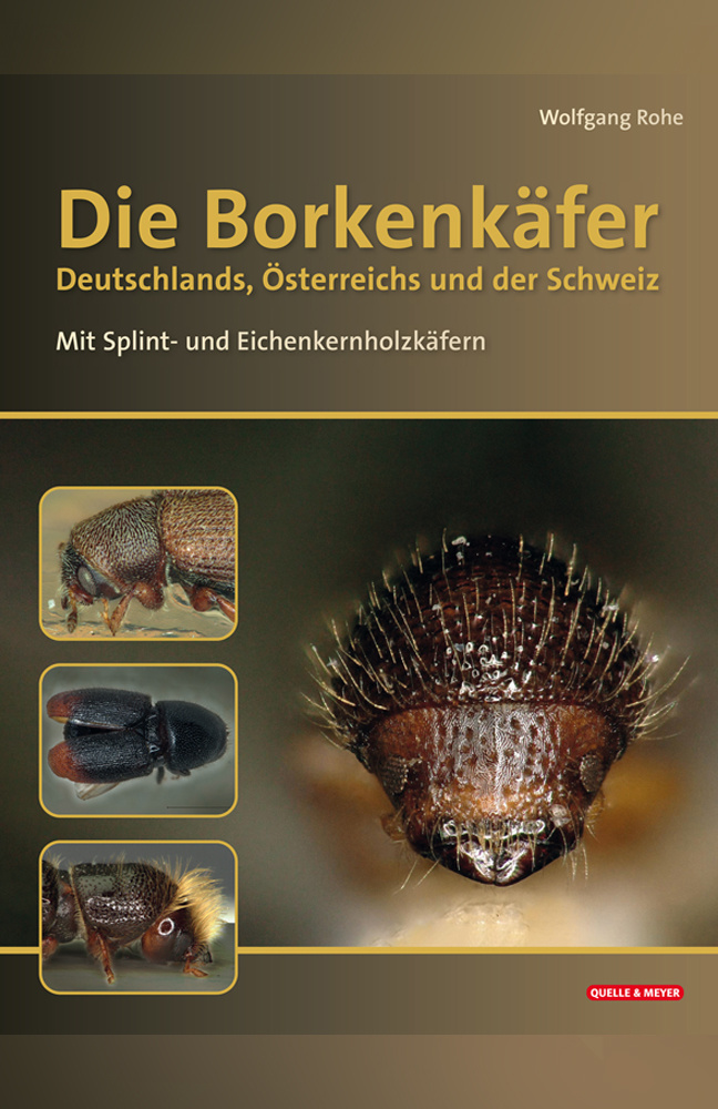 Die Borkenkäfer - Deutschlands, Österreichs und der Schweiz