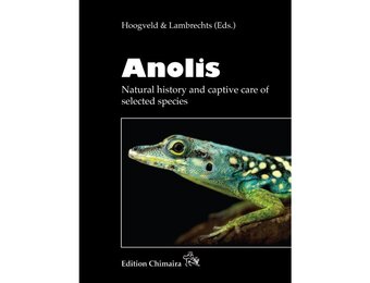 Anolis